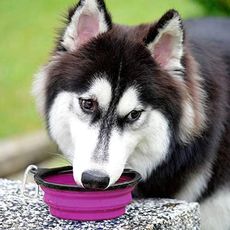 Large Collapsible Travel Bowls (2-Pack, 34 oz) with Clips