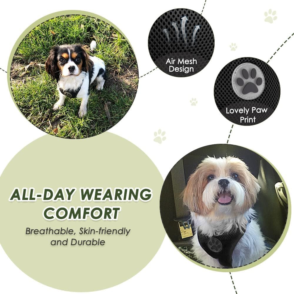 Padded Dog Car Harness with Seat Belt Tether - Small