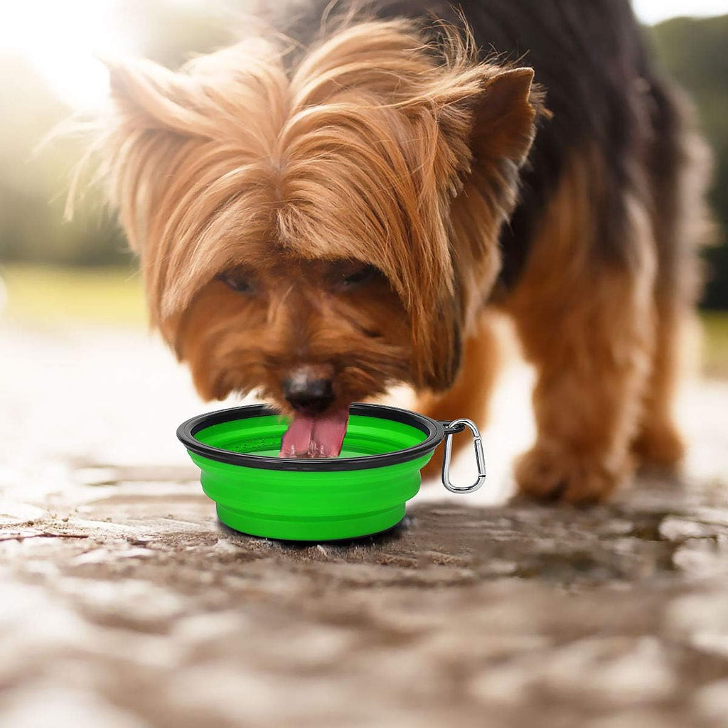 Large Collapsible Travel Bowls (2-Pack, 34 oz) with Clips
