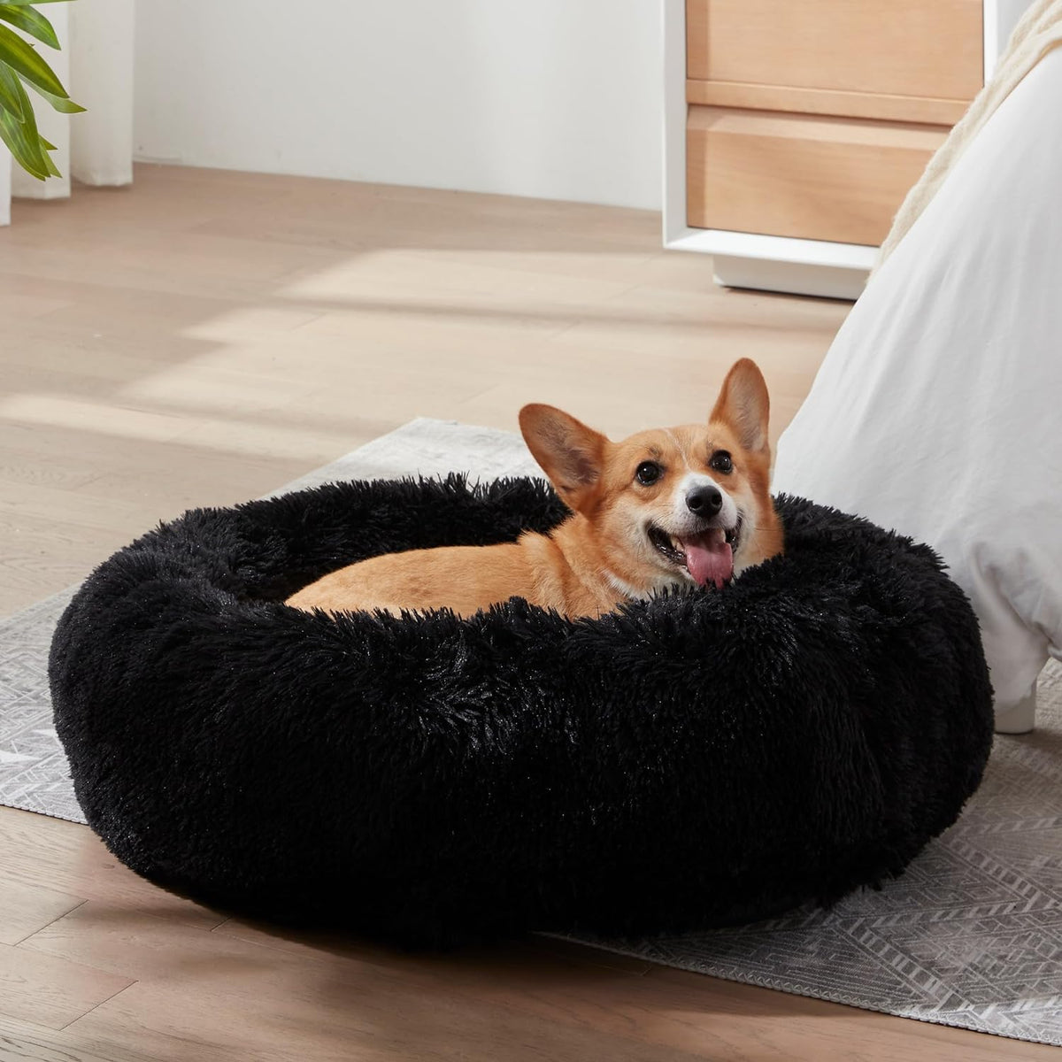 Calming Donut Bed for Small Dogs and Cats - 20 in, Washable