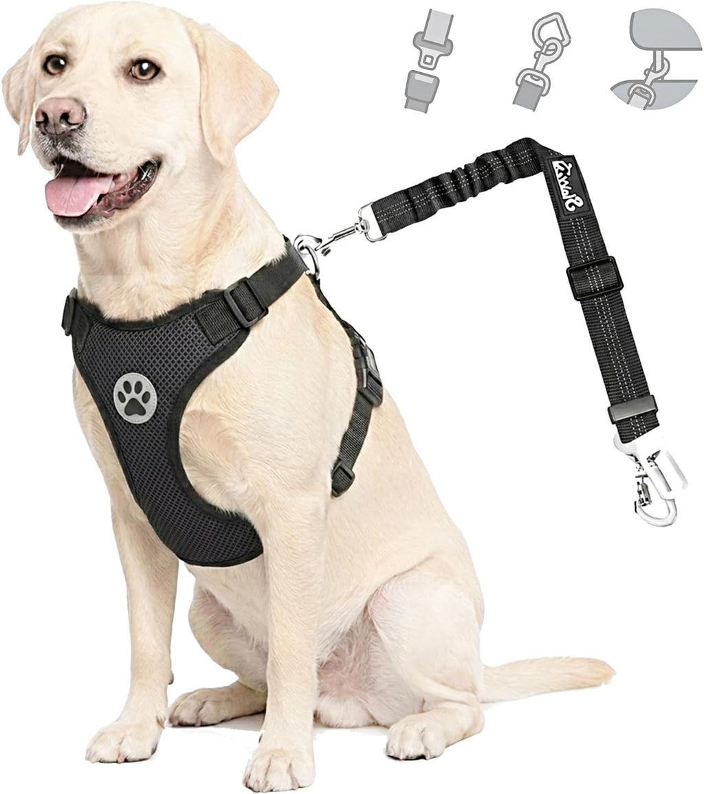Padded Dog Car Harness with Seat Belt Tether - Small
