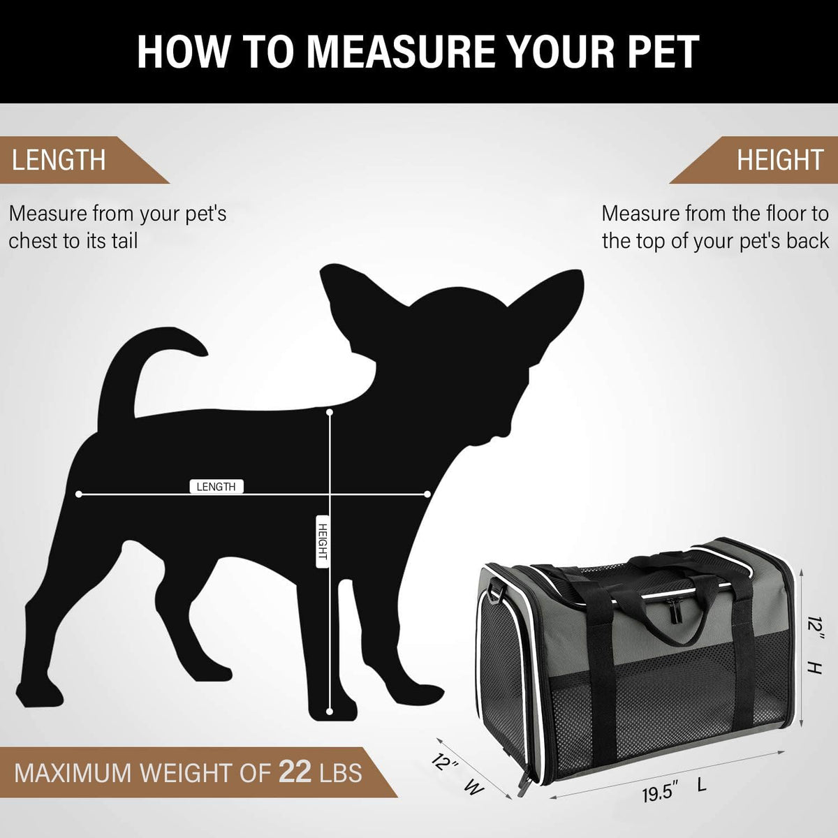 Foldable Soft-Sided Pet Carrier - Airline Friendly, for Cats and Small Dogs up to 22 lb