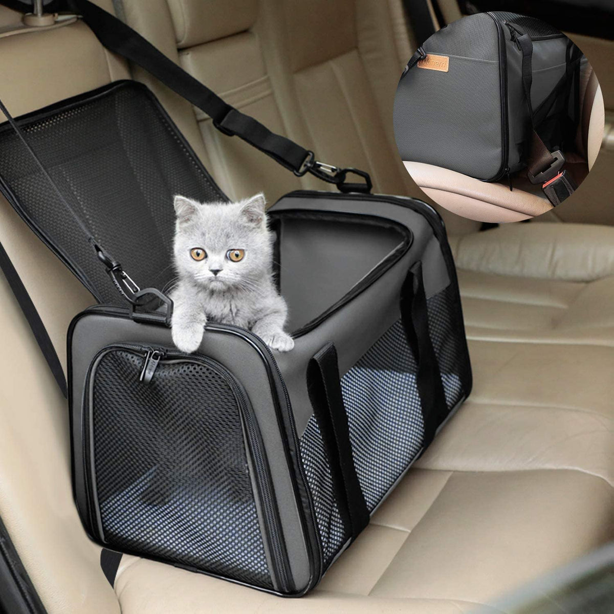 Foldable Soft-Sided Pet Carrier - Airline Friendly, for Cats and Small Dogs up to 22 lb